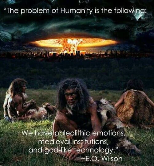 The problem of humanity: paleolithic emotions, medieval institutions, god-like technology.